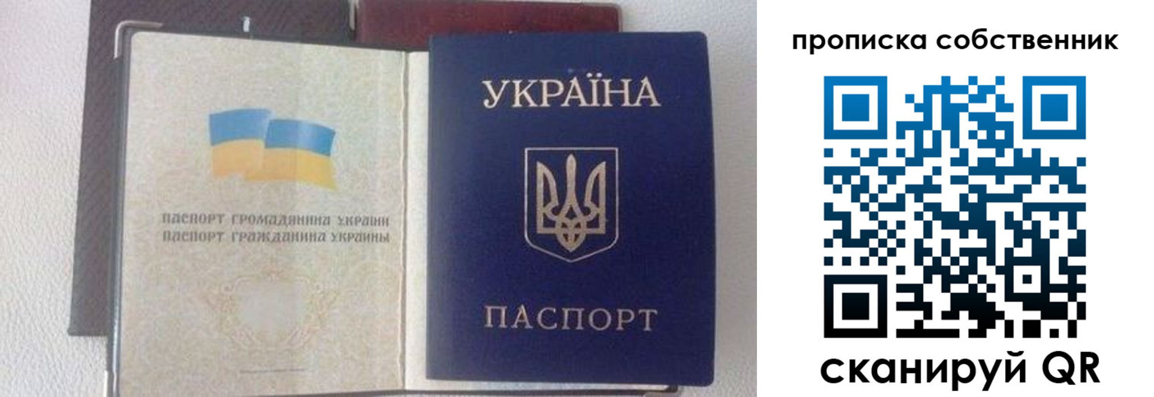 прописка в Могочи